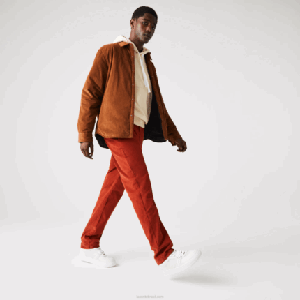 Lacoste calças retas de veludo cotelê homens marrom ql2 88BL1643