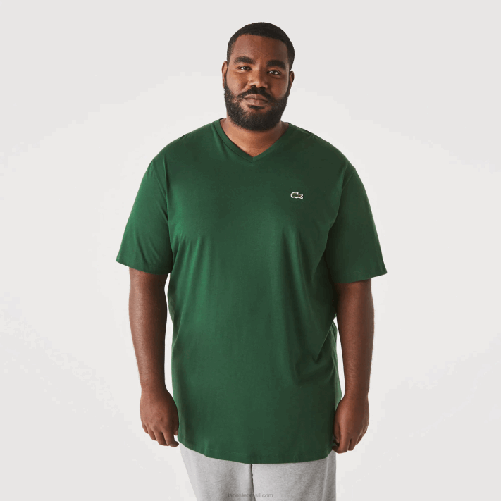 Lacoste camisa polo de algodão com decote em v canelado regular fit (tamanho grande) homens verde 132 88BL823 - Image 1