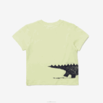 Lacoste camiseta de algodão com estampa de crocodilo crianças amarelo 6gd 88BL3161 - Image 5