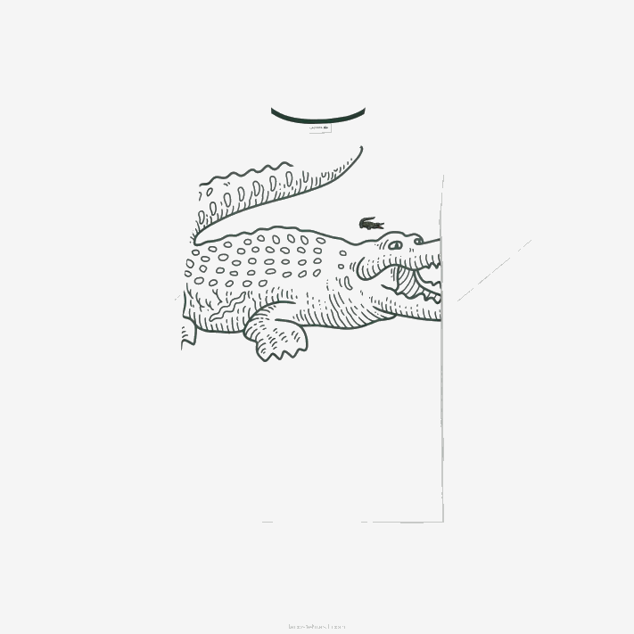 lacoste_camiseta_de_jersei_folgada_tamanho_grande_grande_homens_branco_001_88bl227.png Lacoste camiseta de jérsei folgada - tamanho grande - grande homens branco 001 88BL227 - Image 1