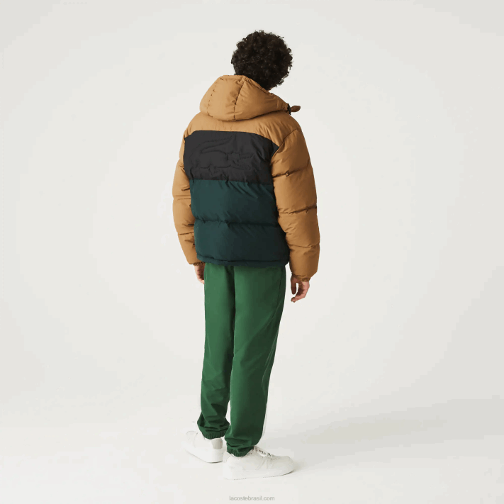 Lacoste Jaqueta acolchoada colorblock repelente de água homens marrom preto verde tpv 88BL1227 - Image 3