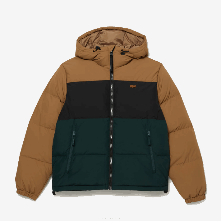 Lacoste Jaqueta acolchoada colorblock repelente de água homens marrom preto verde tpv 88BL1227 - Image 5