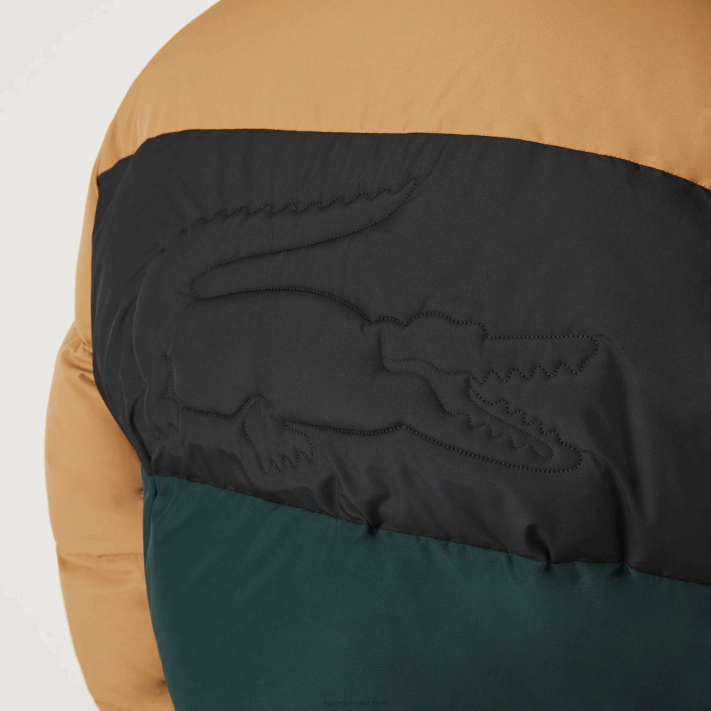 Lacoste Jaqueta acolchoada colorblock repelente de água homens marrom preto verde tpv 88BL1227 - Image 10