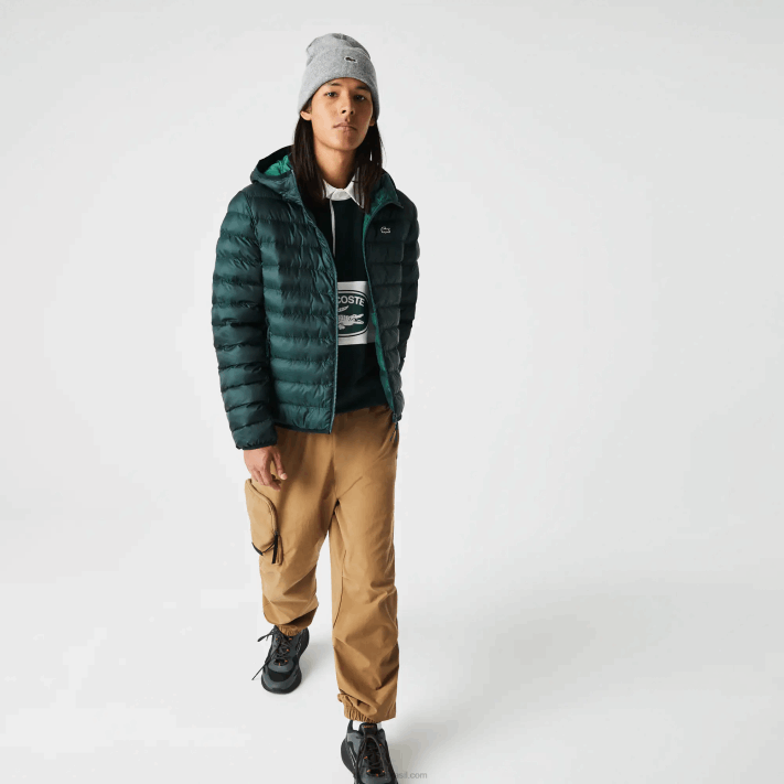 lacoste_jaqueta_acolchoada_com_capuz_homens_verde_yzp_88bl1265.png Lacoste jaqueta acolchoada com capuz homens verde yzp 88BL1265 - Image 1
