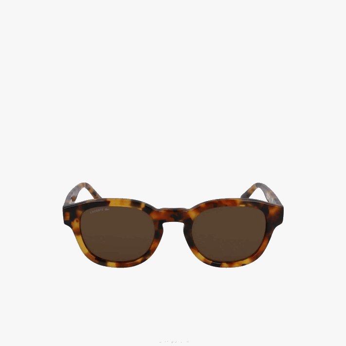 Lacoste óculos de sol nacionais geográficos ovais de bio acetato homens havana brn 214 88BL2317 - Image 2