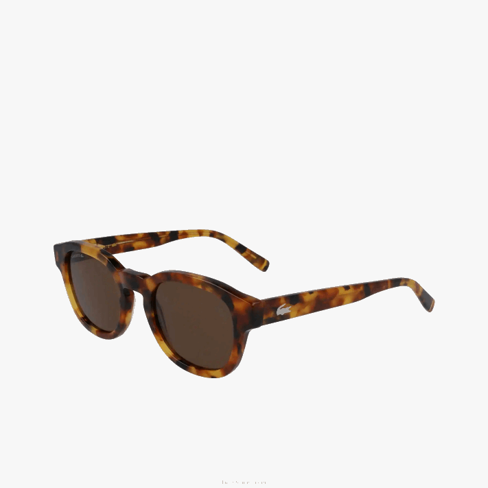Lacoste óculos de sol nacionais geográficos ovais de bio acetato homens havana brn 214 88BL2317 - Image 3