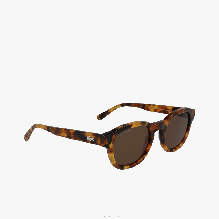 Lacoste óculos de sol nacionais geográficos ovais de bio acetato homens havana brn 214 88BL2317 - Image 5