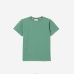 Lacoste camiseta de jérsei de algodão gola redonda crianças verde caqui kx5 88BL3003
